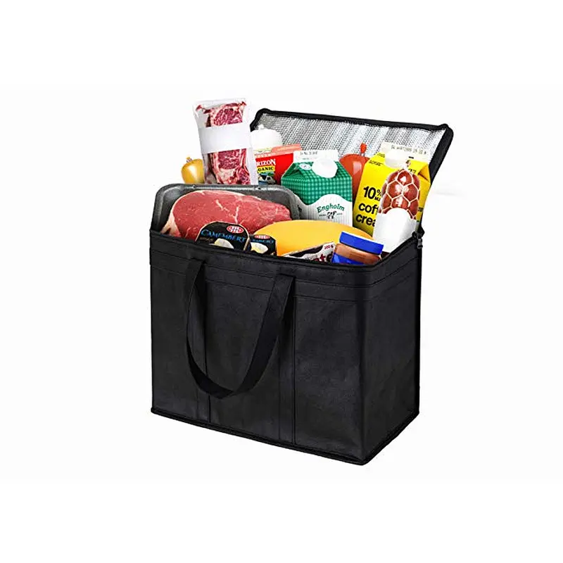 Soft-Sided Insulated Foldable Polyester Non-woven Picnic Cooler Bag