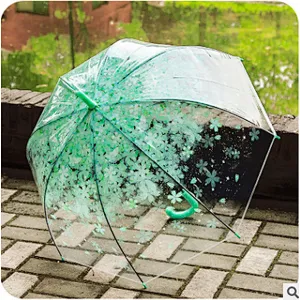 Wholesale Promotion Clear Dome Transparent Umbrella Promotional Woman Kid Umbrella