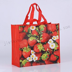 China supplier customized foldable stand up bopp laminated pp woven shopping bag