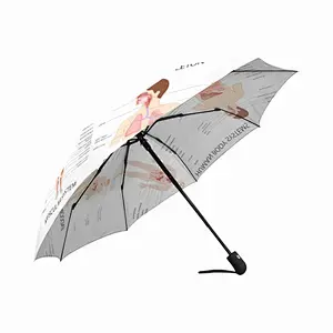 An interesting complete chart shows the windbreak automation of different systems body umbrella