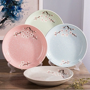 Traditional bone ceramic technique tableware dish by washing machine