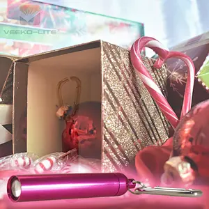 2018 HOT SELLING 1AAA BATTERY ALUMINIUM FLASHLIGHT TORCH 60 LUMENS PINK COLOR KEYCHAIN LIGHT
