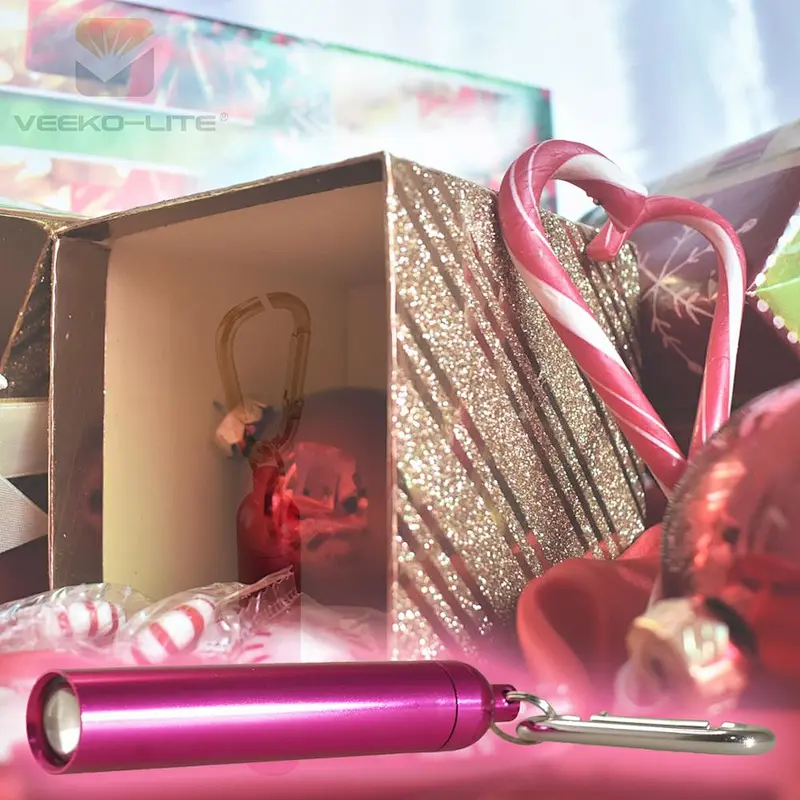 2018 HOT SELLING 1AAA BATTERY ALUMINIUM FLASHLIGHT TORCH 60 LUMENS PINK COLOR KEYCHAIN LIGHT