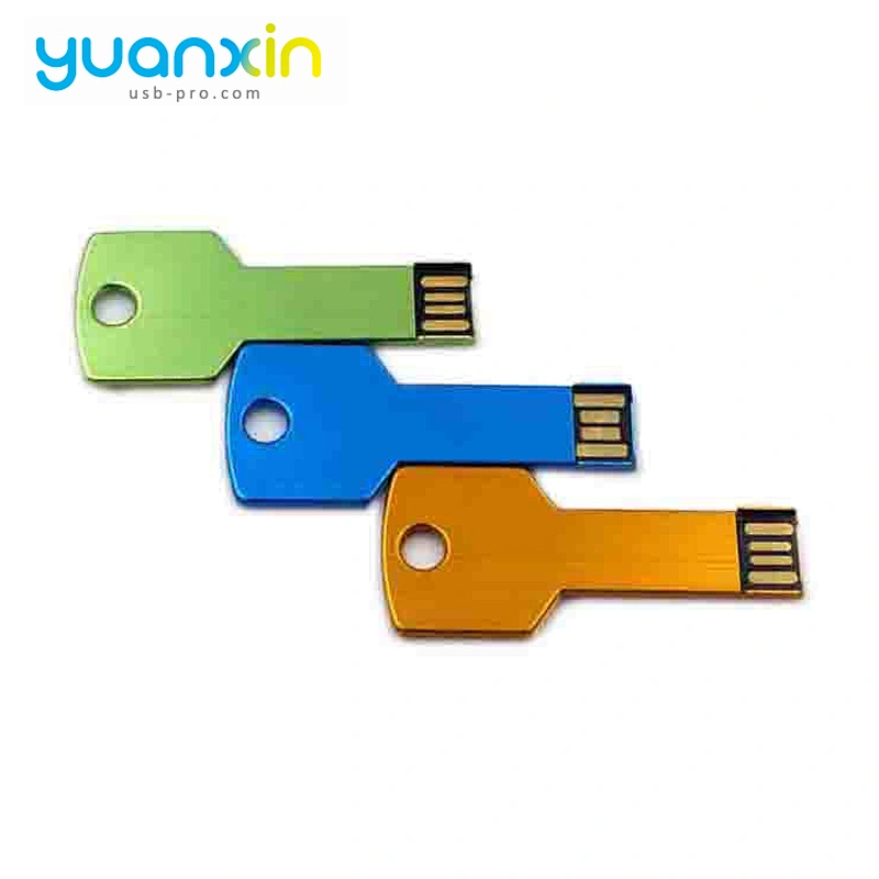 Wholesale 2Gb 32Gb 64Gb 3.0 Porn Wireless Price Key Chain Usb Flash Drive With Logo