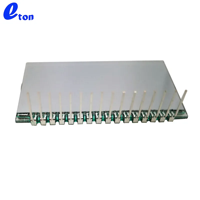 custom single site pin small 5 digit graphic lcd display