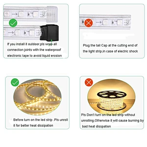 RGBW RGB 4000K Orange Double row Flat round rope light IP67 Waterproof 110V 220V led strip light