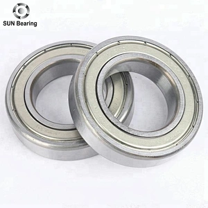 6080ZZ Deep Groove Ball Bearing