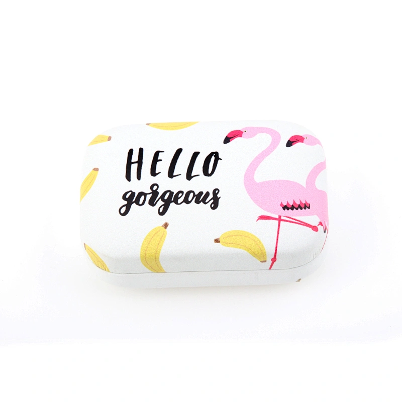 Flamingos Fruit Stria Eyeglasses Case Contact Lens Cases