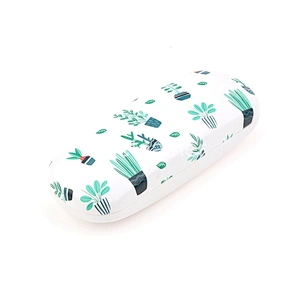 Blue Cactus Bonsai Ball Cactus Eyeglasses-case Optical Case