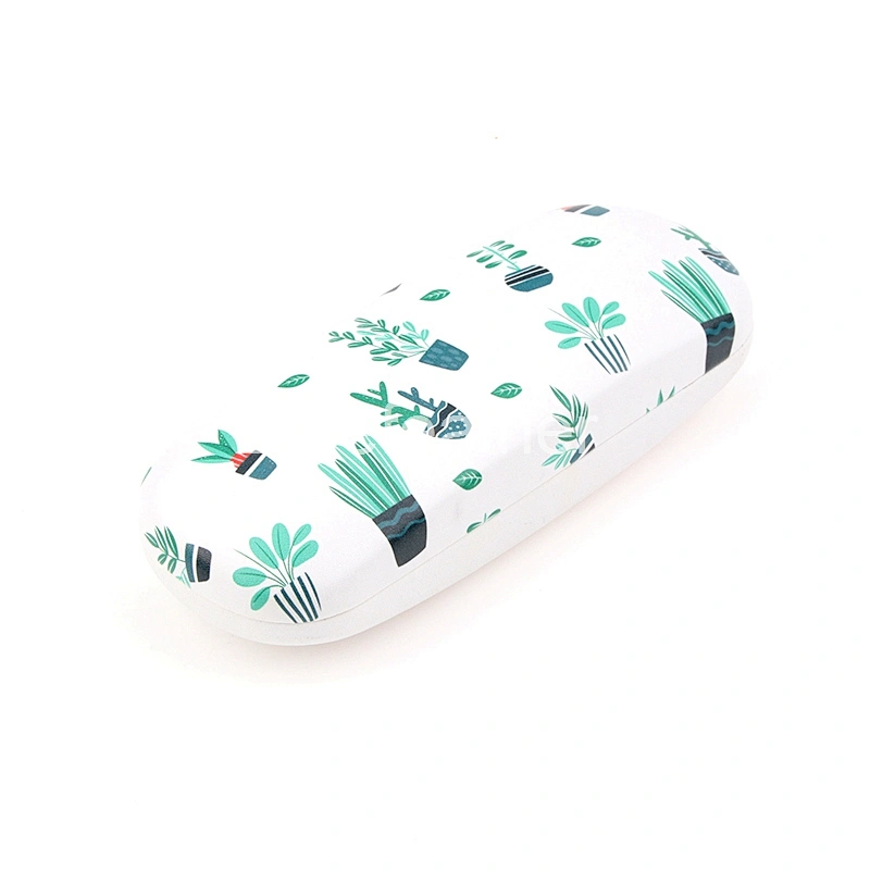 Blue Cactus Bonsai Ball Cactus Eyeglasses-case Optical Case