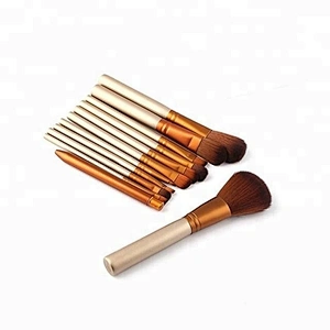 Private Label 12pcs Mini Makeup Brush Set Travel With Tin Box