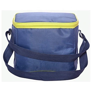 Soft-Sided Insulated Foldable Polyester Non-woven Picnic Cooler Bag