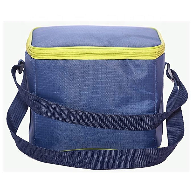 Soft-Sided Insulated Foldable Polyester Non-woven Picnic Cooler Bag