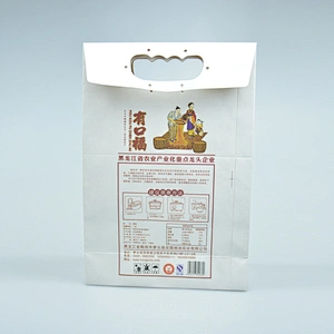 China hot sale paper bag with handle for rice packing