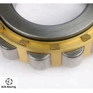 RN312M Cylindrical Roller Bearing