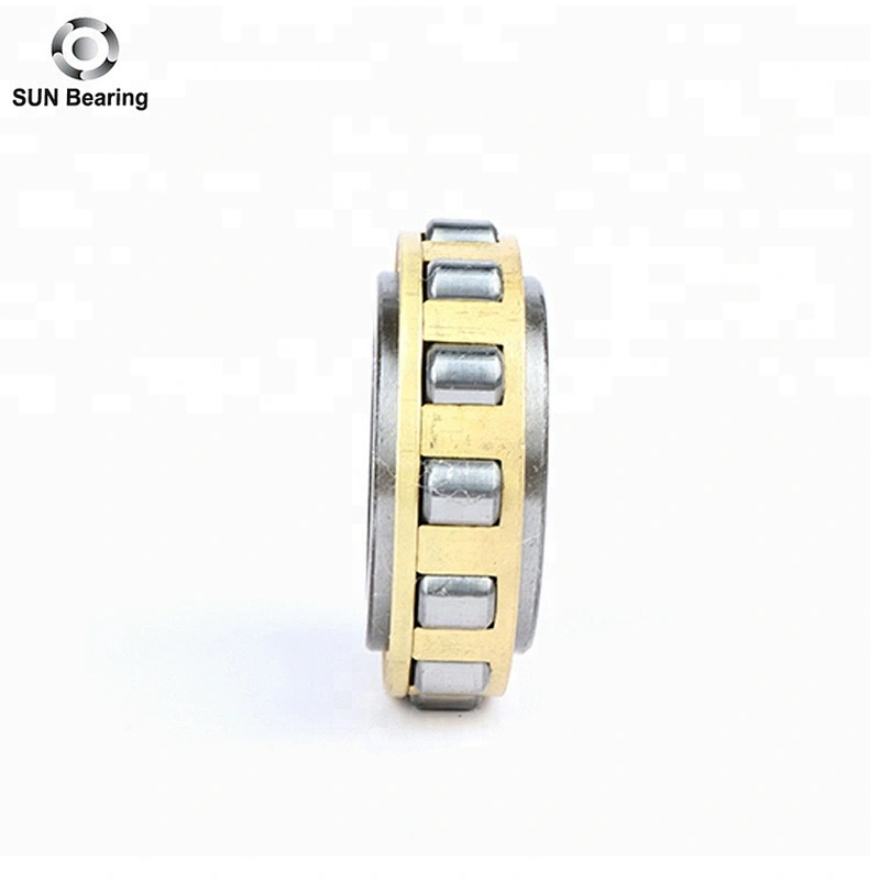 RN205 Cylindrical Roller Bearing