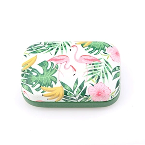 Flamingos Fruit Stria Eyeglasses Case Contact Lens Cases