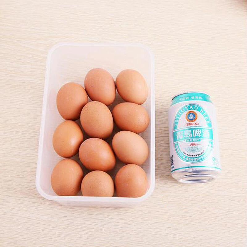 Free Sample China Supplier Lunch Box For Kids Leakproof Food Containers Transparent Sealed Bento Box Three Piece of Sets