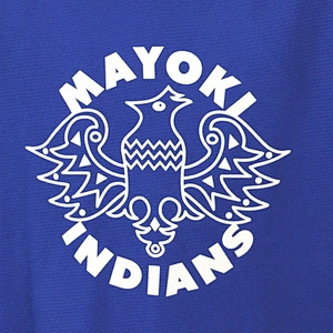 design your own cheap team ice hockey jersey china