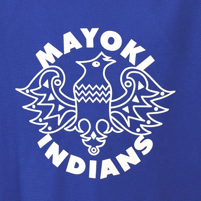 design your own cheap team ice hockey jersey china