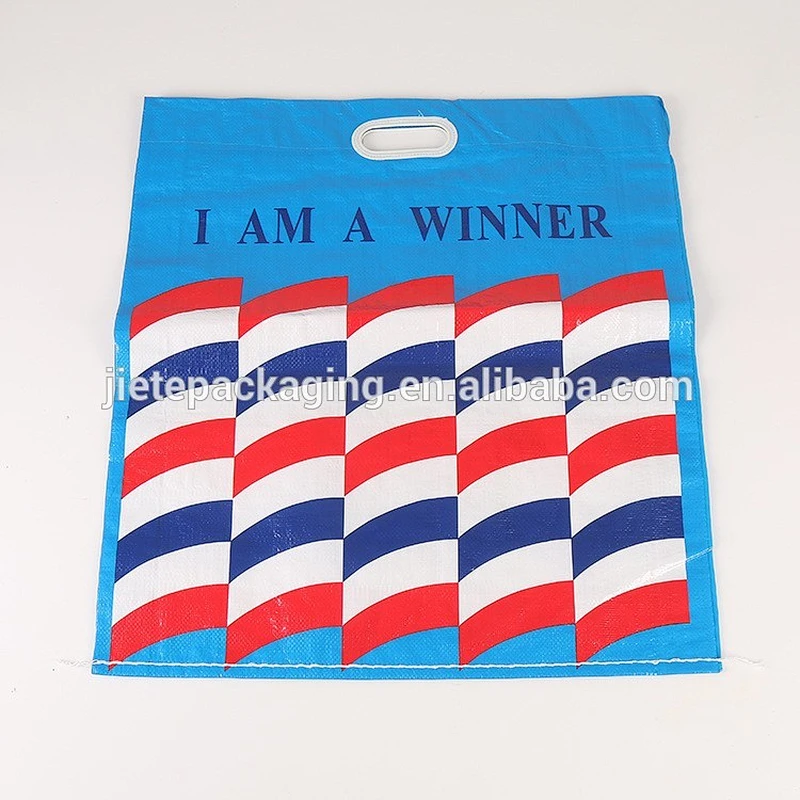 laminated plastic PP woven shopping bag new style with custom color printing