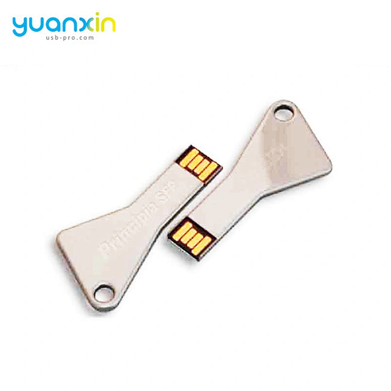 High speed pormo usb flash key,usb keychain,key usb