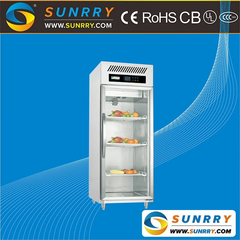 Commercial glass door upright fridge / small soft drink display refrigerator price