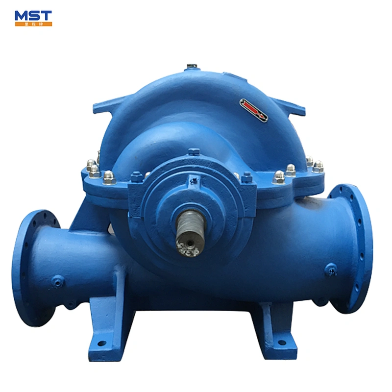 Horizontal Single Stage Double Suction Water Irrigation Pump for Sale
