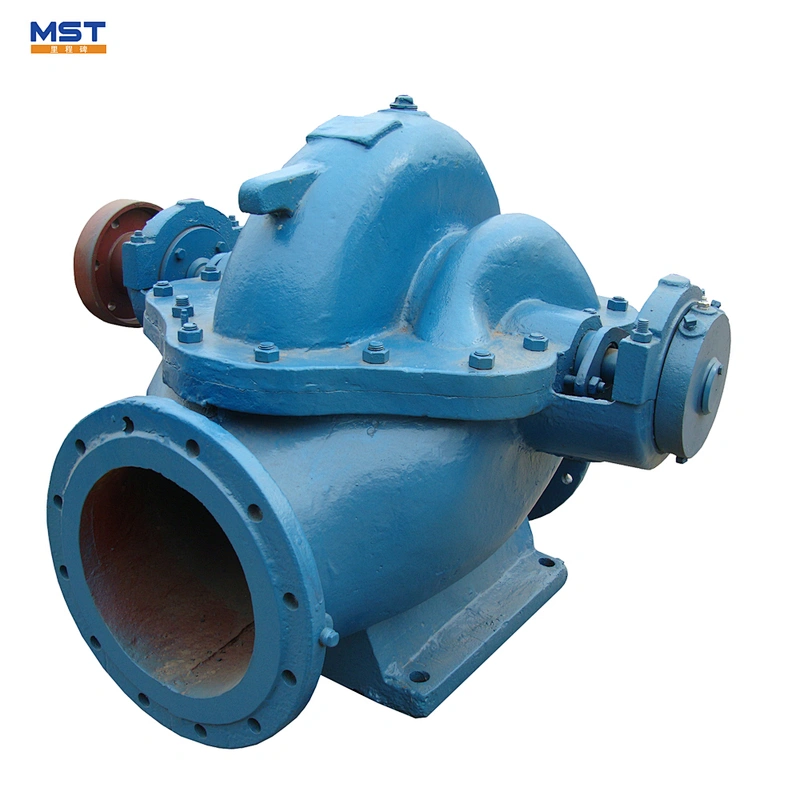 Horizontal Single Stage Double Suction Water Irrigation Pump for Sale