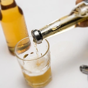 Stainless steel Bar Tending Tools Wine Beer Cooler Chiller In Bottle