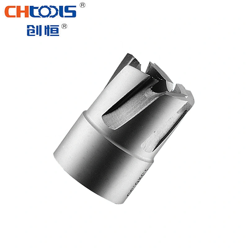 High speed steel micro drill bit for steel drilling