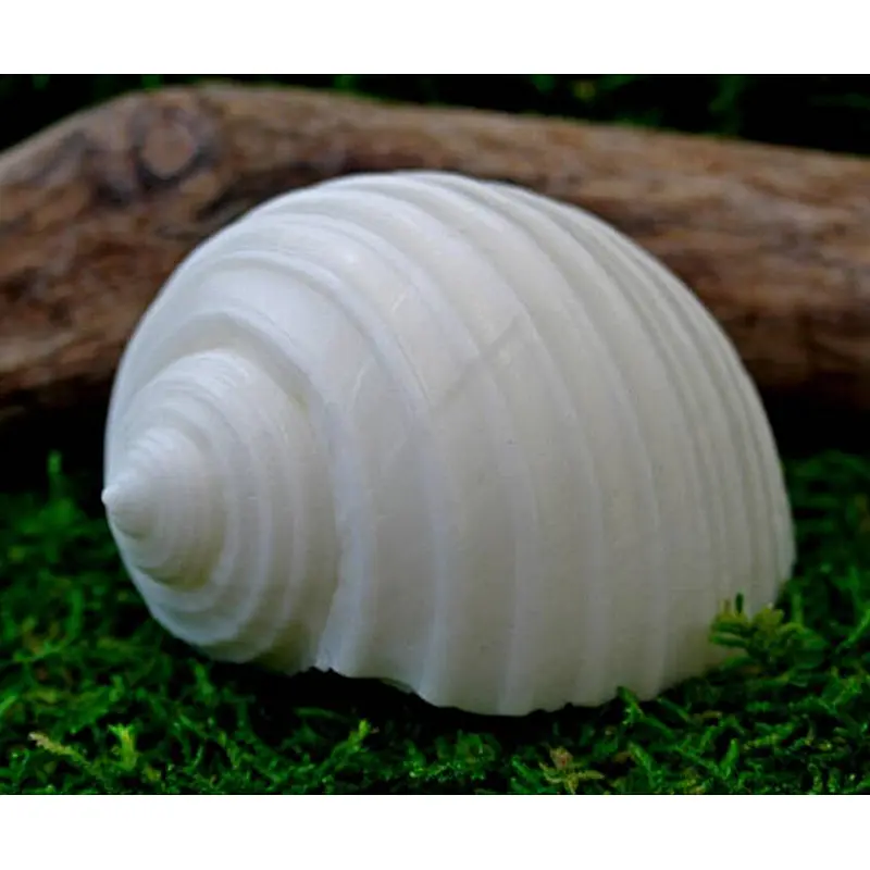 QT0032 Conch Shells soap Mold handmade silicone Candle moulds przy