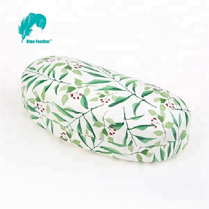 Original Design Sunglasses Case Spectacle Eyeglasses Case