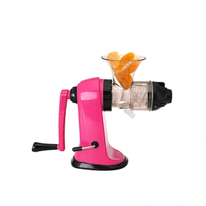 bravo multi- fruit slow juicer & ice cream machine