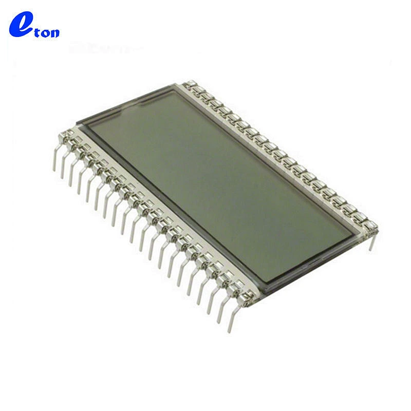 Electric vehicle speed meter LCD display