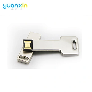New products Custom Logo Printed usb key flash drives bulk