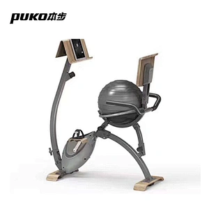 CF-EO5 Indoor Wooden Nature Style Yoga Ball Seat Fitness Upright Exercise Bike