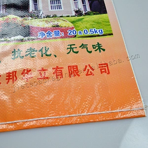 Customized plastic pp woven inner wall putty powder packaging bag