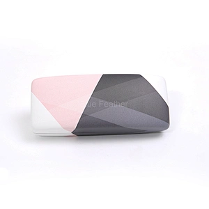 Hard Shell Geometric Eyewear Case with Pastel Accents for Stylish Users