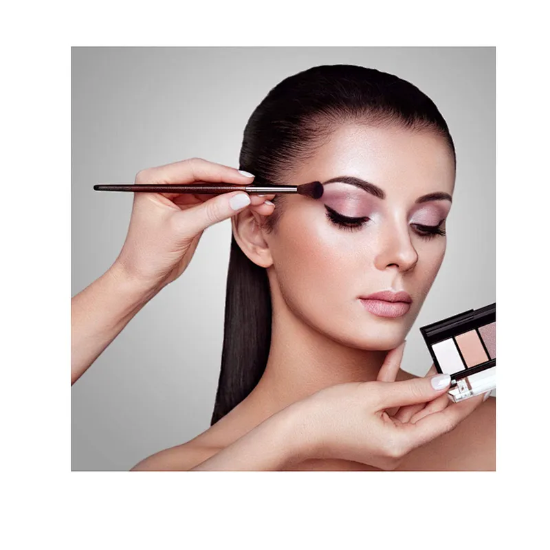 Wooden 8 Pcs Makeup Brushes Set Foundation Blush Face Concealer Eyeliner Shadow Cosmetics Brush Set for Beauty