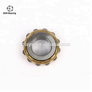 Factory Bearing RN204M (15*35*11mm) Cylindrical Roller Bearing