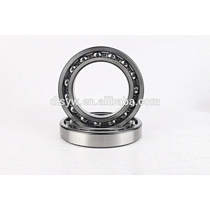 Deep Groove Ball Bearing 6028