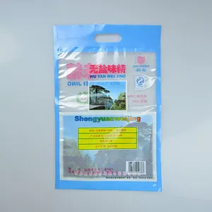 Custom color print PE bag for MSG monosodium glutamate, seasoning packaging bag