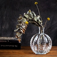 Unique Ball Cactus Shaped Glass Vase Desktop Glass  Flower Vase Flower Arrangement Planter For Home Decor Bedroom Decor