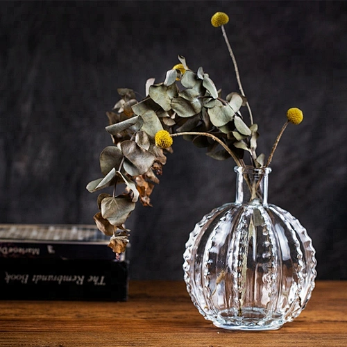 Unique Ball Cactus Shaped Glass Vase Desktop Glass  Flower Vase Flower Arrangement Planter For Home Decor Bedroom Decor