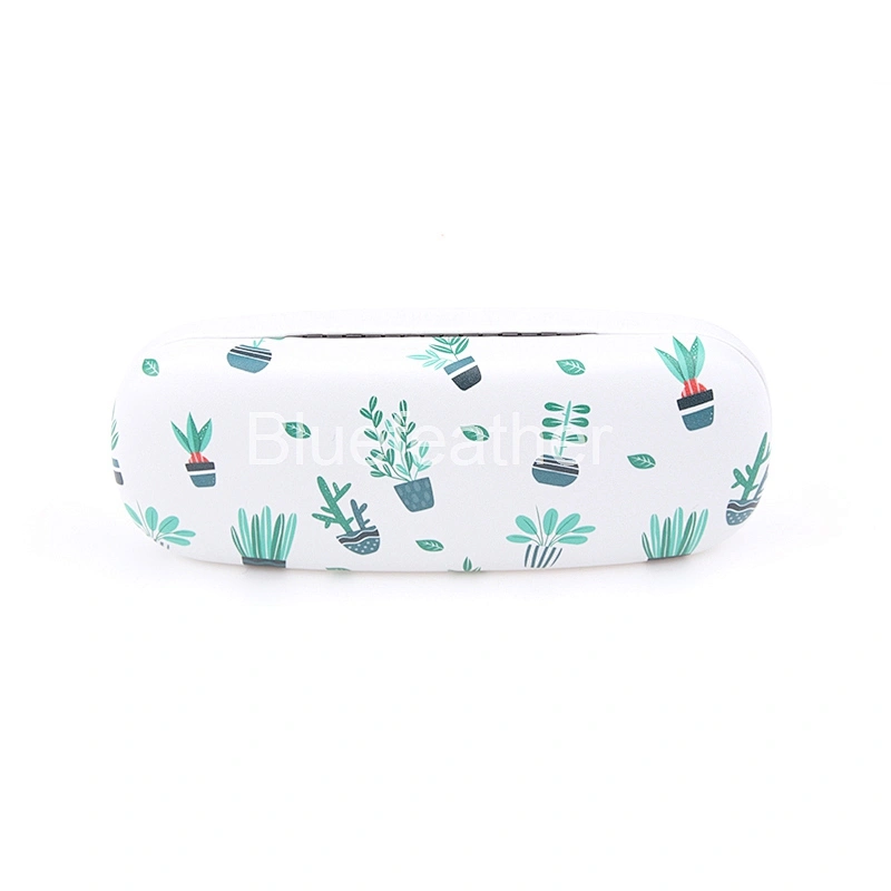 Blue Cactus Bonsai Ball Cactus Eyeglasses-case Optical Case