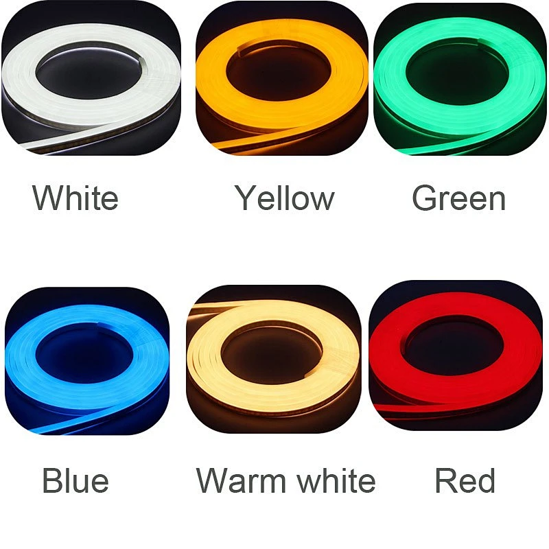 Flexible 12V 220V 110V RGB IP68 underwater Neon led light swimming pool rope light