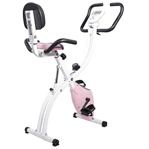 popular home use magnetic bike for adult