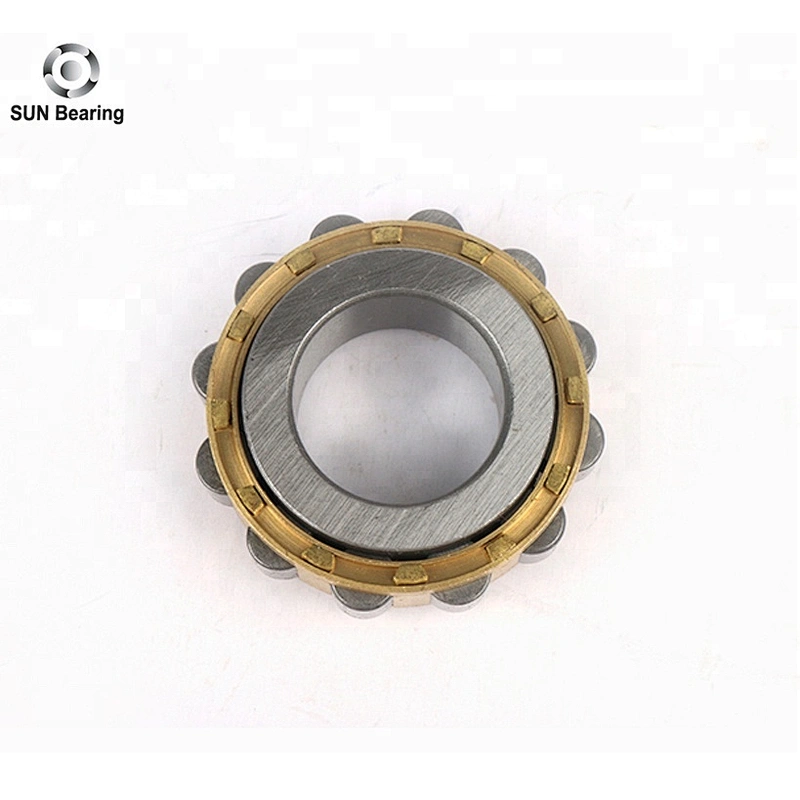 RN204 Cylindrical Roller Bearing
