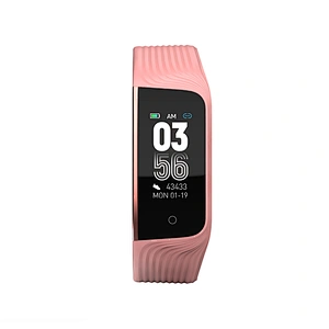 High quality cellphone accessories 2019 new arrival smart bracelet watch with water proof health watch blood pressure